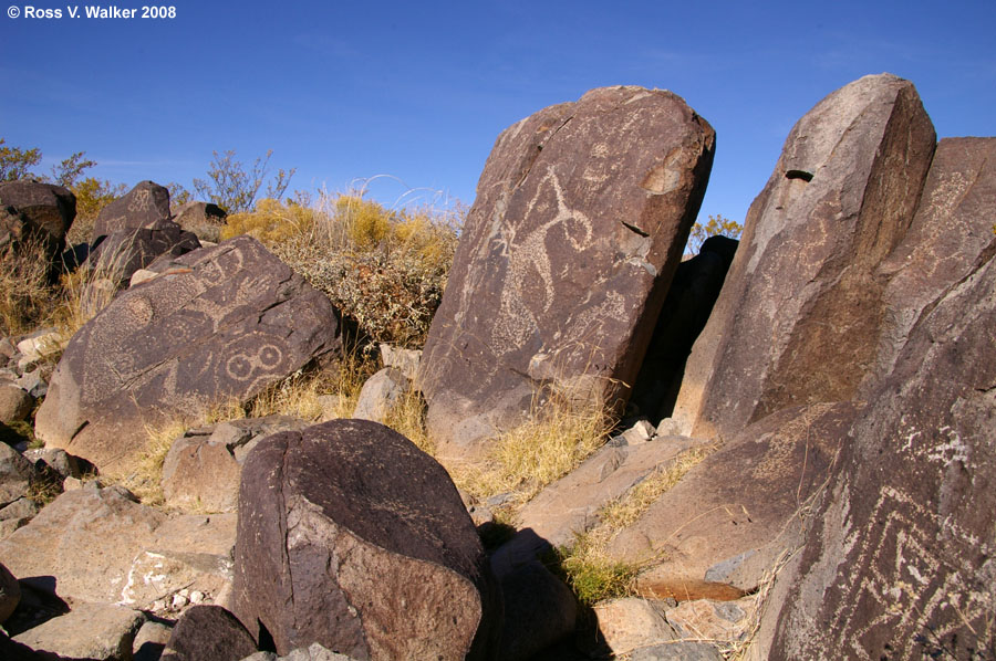 Petroglyphs - Lizard, roadrunner, and more, Three Rivers, New Mexico