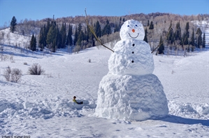 Logan Canyon Snowman