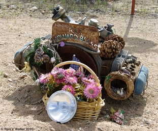 Darwin VW grave