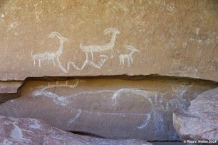 Rasmussen Cave petroglyphs