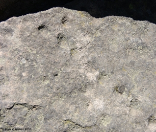 Kyburz Flat petroglyphs