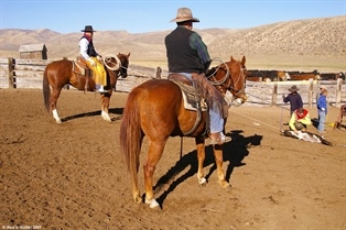 Ropers