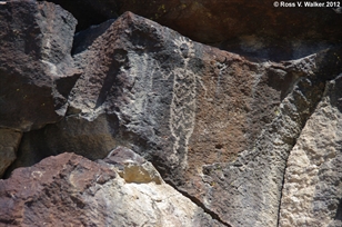 Coso anthropomorph petroglyph