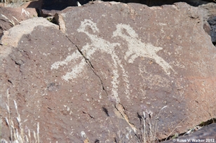 Coso Bighorn petroglyphs