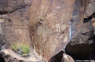 Coso petroglyph panel