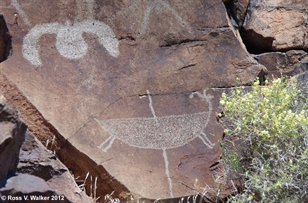 Coso sheep petroglyphs
