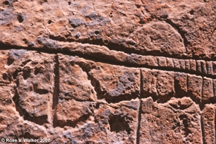 Hickison Summit petroglyph
