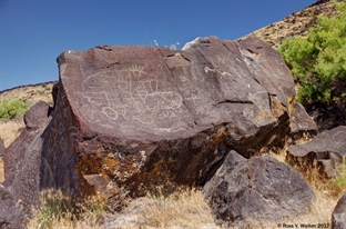 Snake River petroglyphs