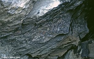 Toquima Cave pictographs