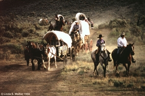 Wagon Train