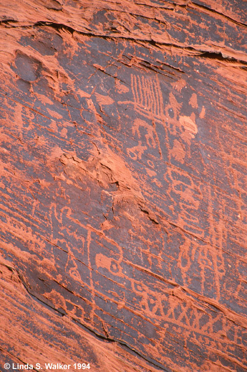 Petroglyph panel, Valley of Fire State Park, Nevada