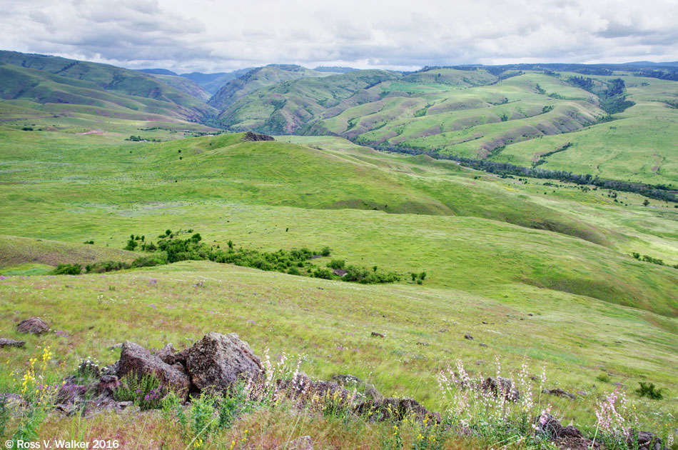 White Bird Hill, Idaho, which separates the Camas Prairie from the Salmon River