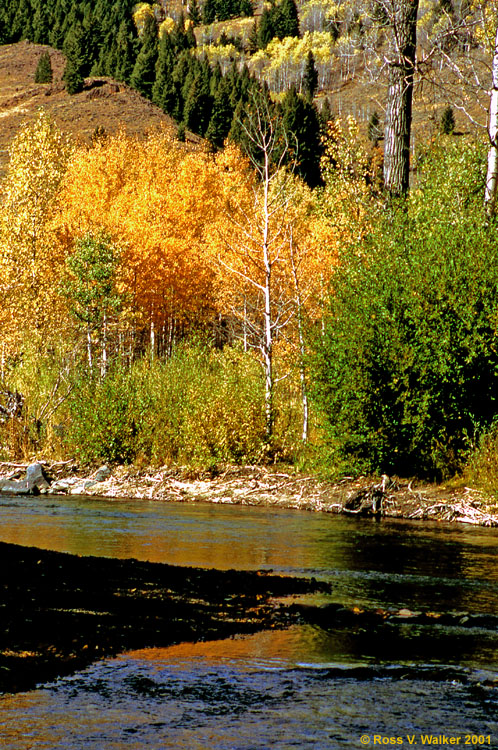 Big Wood River, Sun Valley, Idaho