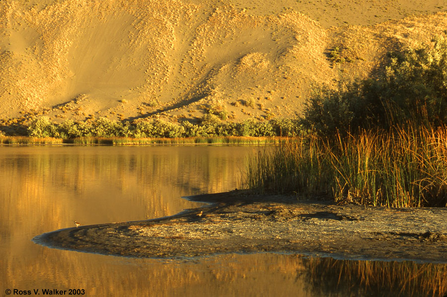 Evening Reflection, Bruneau Dunes State Park, Idaho 