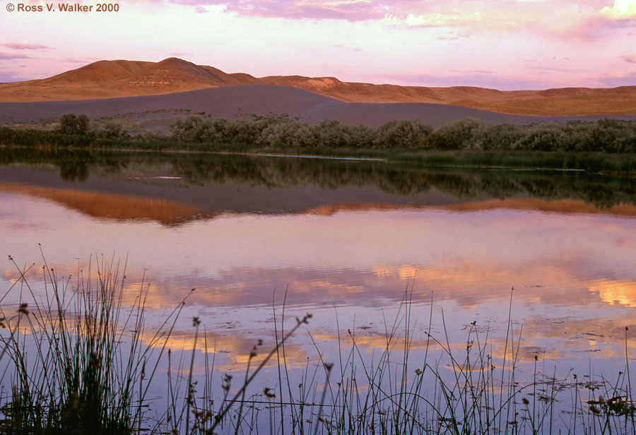 Sunset at Bruneau Dunes State Park, Idaho