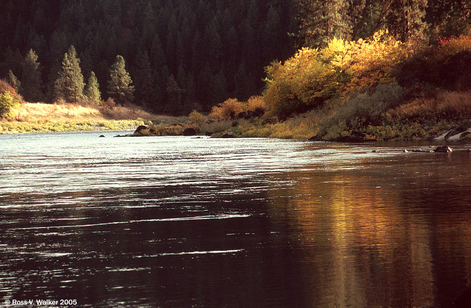 Clearwater River, Greer, Idaho