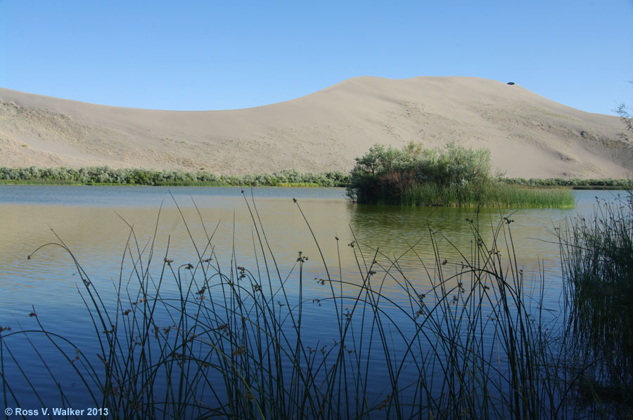 Dunes Lake at Bruneau Dunes State Park, Idaho