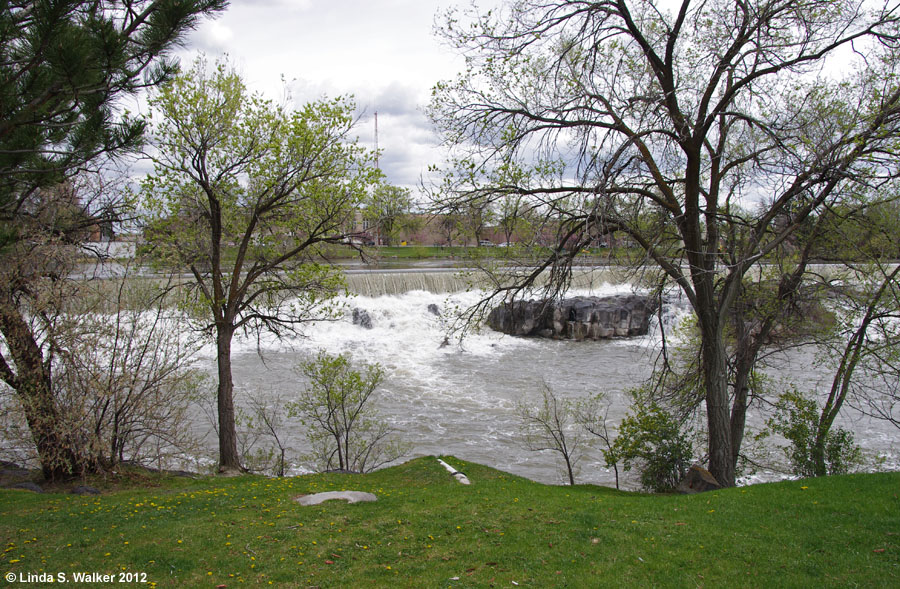 Snake River from the Greenbelt in Idaho Falls, Idaho