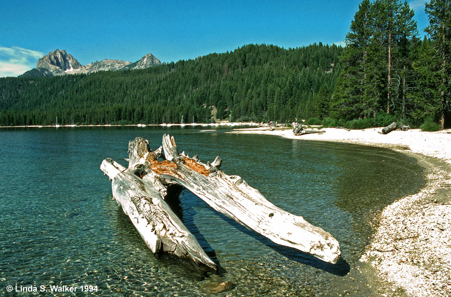 Redfish Lake Shoreline, Idaho