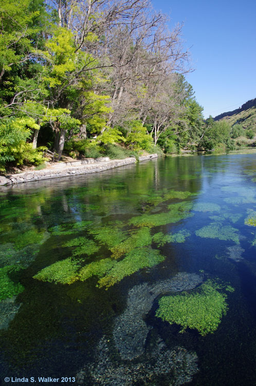 Ritter Island and a side channel of the Snake River, Idaho