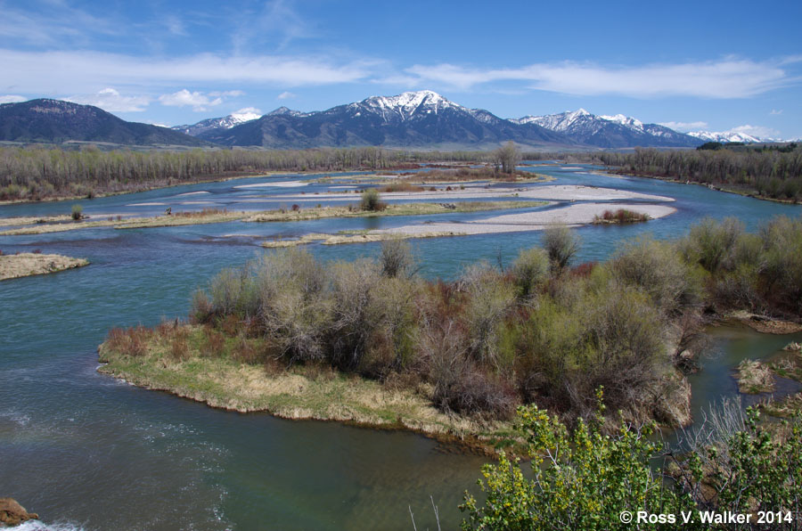 Snake River sand bars near Swan Valley, Idaho