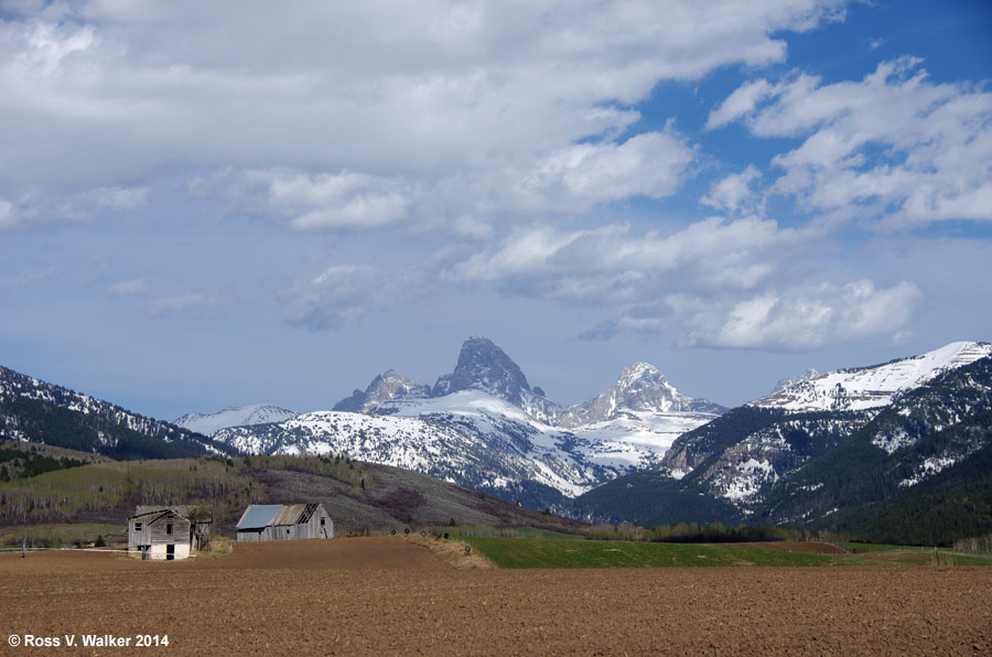 Abandoned farm buildings and the Grand Tetons near Driggs, Idaho