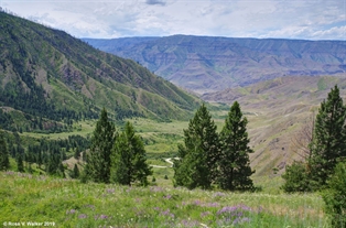 Cottonwood, Idaho farmland