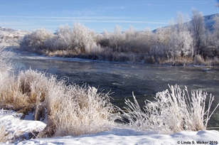 Bear River Frost
