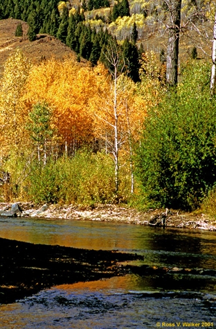Big Wood River autumn