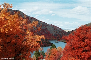 Oneida Reservoir Autumn