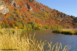 Fall Color along upper Oneida Reservoir