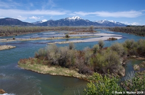 Snake River