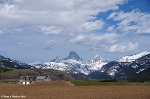 Teton Farm