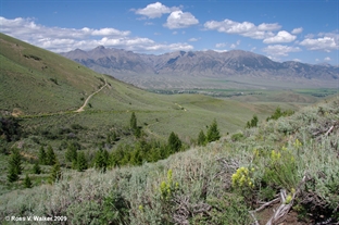 Lost River Range from White Knob