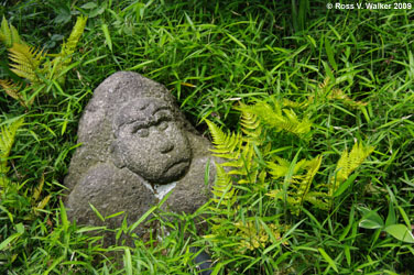 Rakan statue, Chinzan-so Garden, Tokyo, Japan