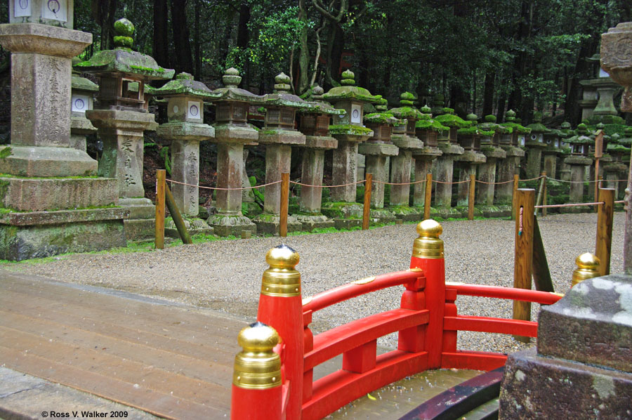 Stone lanterns, Kasuga Shrine, Nara, Japan