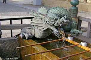 Dragon Trough