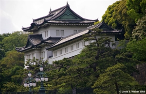 Palace, Tokyo