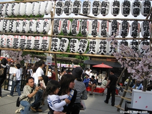 Lanterns, Tokyo