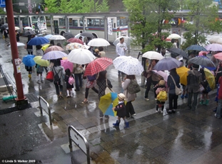 Odawara, rain, Japan