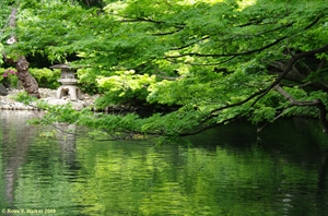Pond, Tokyo