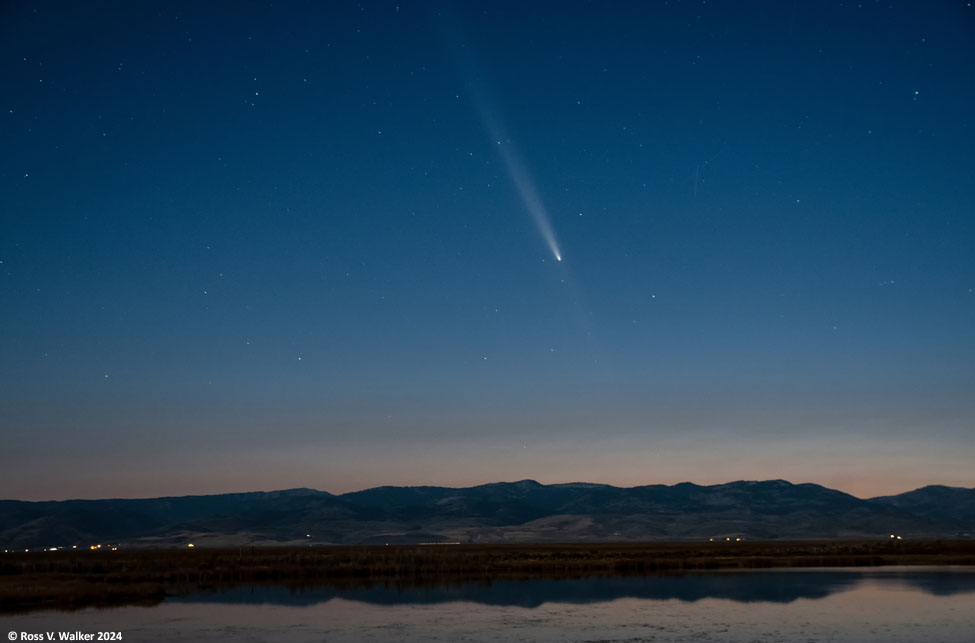 Comets Neowise and Atlas