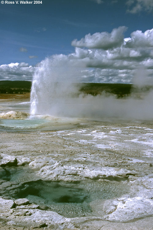 Clepsydra Geyser, Lower Geyser Basin, Yellowstone National Park, Wyoming