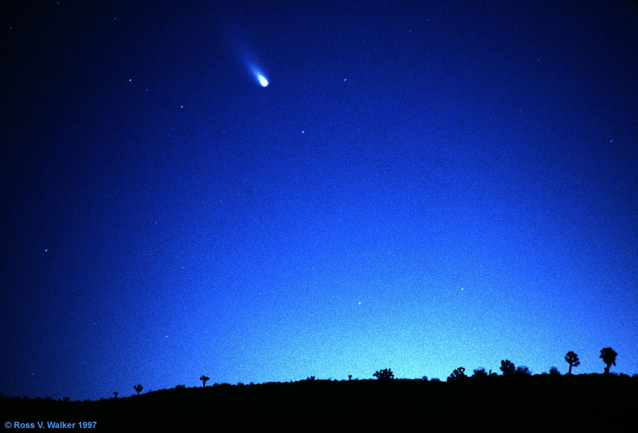 Hale-Bopp Comet before sunrise