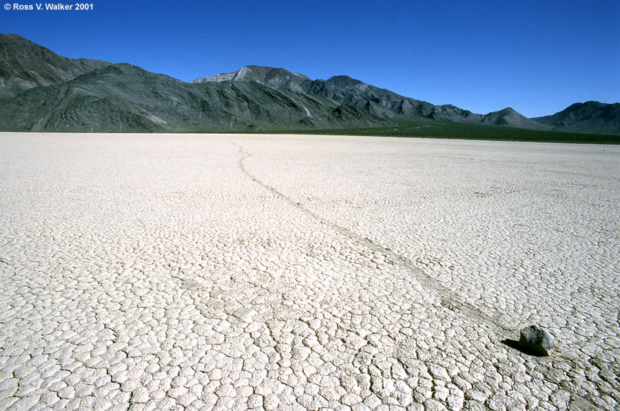 Moving rock on the "Racetrack", Death Valley, California