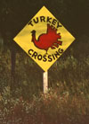 Turkey crossing sign
