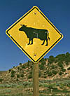 Cattle crossing sign