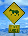 Horse crossing sign