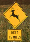 Deer crossing sign