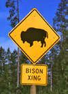 Bison crossing sign